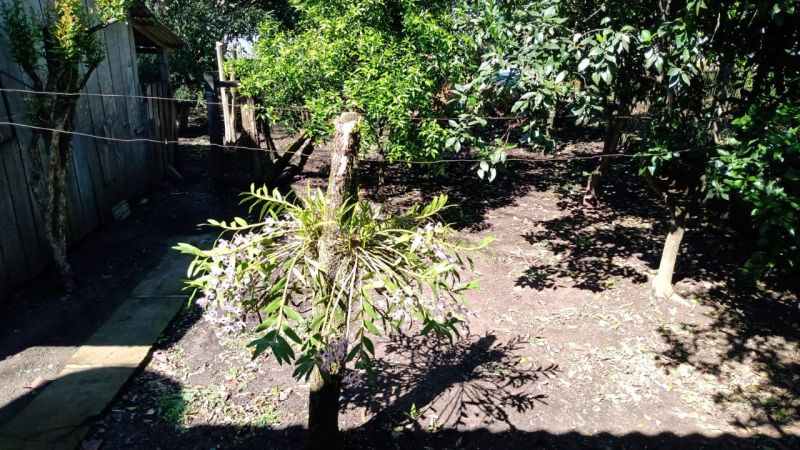 CASA 3 quartos no bairro CRUZEIRO DO SUL em TAQUARA