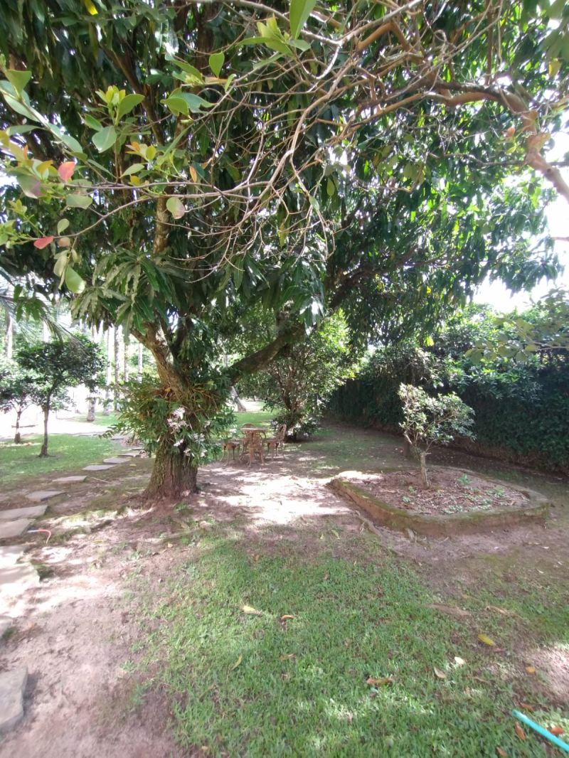 APTO 3 quartos no bairro MORRO DO LEONCIO em TAQUARA