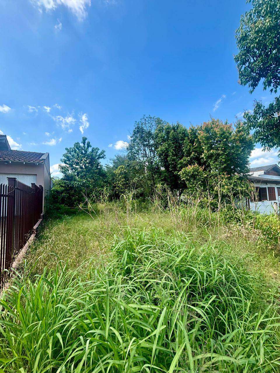 TERRENO no bairro Santa Rosa em Taquara