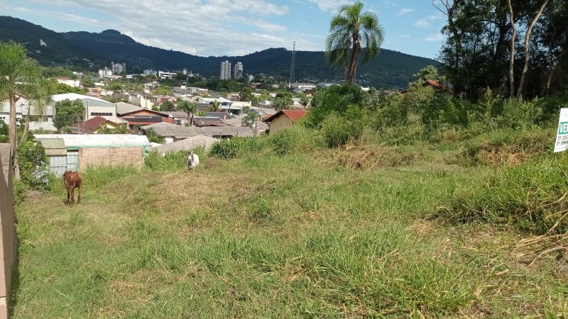 TERRENO - Bom Pastor - Igrejinha