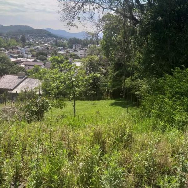 TERRENO - Centro - Rolante