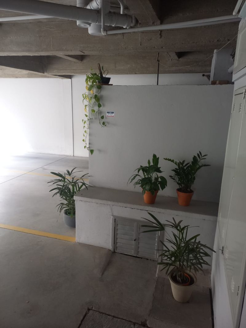 APARTAMENTO 3 quartos 