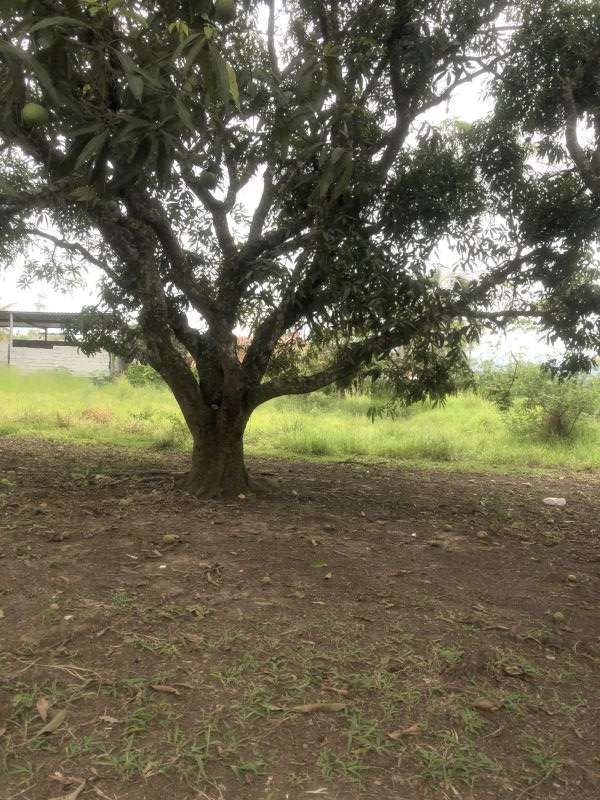 Lote para Comprar em Pingo de Ouro – Guaratinguetá – SP – Rede