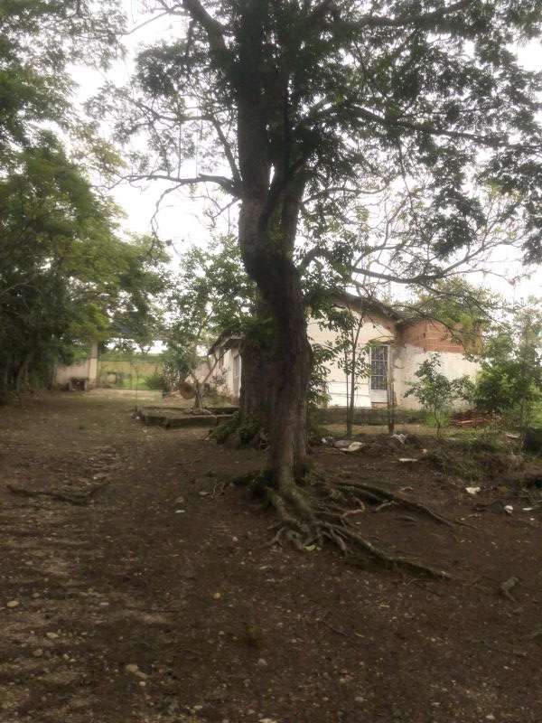 Lote para Comprar em Pingo de Ouro – Guaratinguetá – SP – Rede