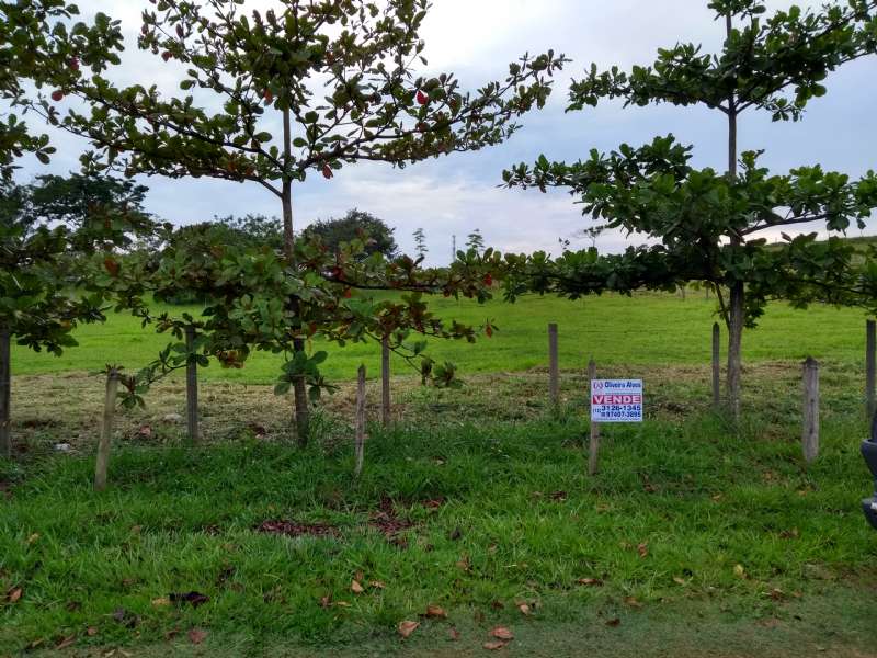 TERRENO - Belvedere Club Dos 500 - Guaratingueta