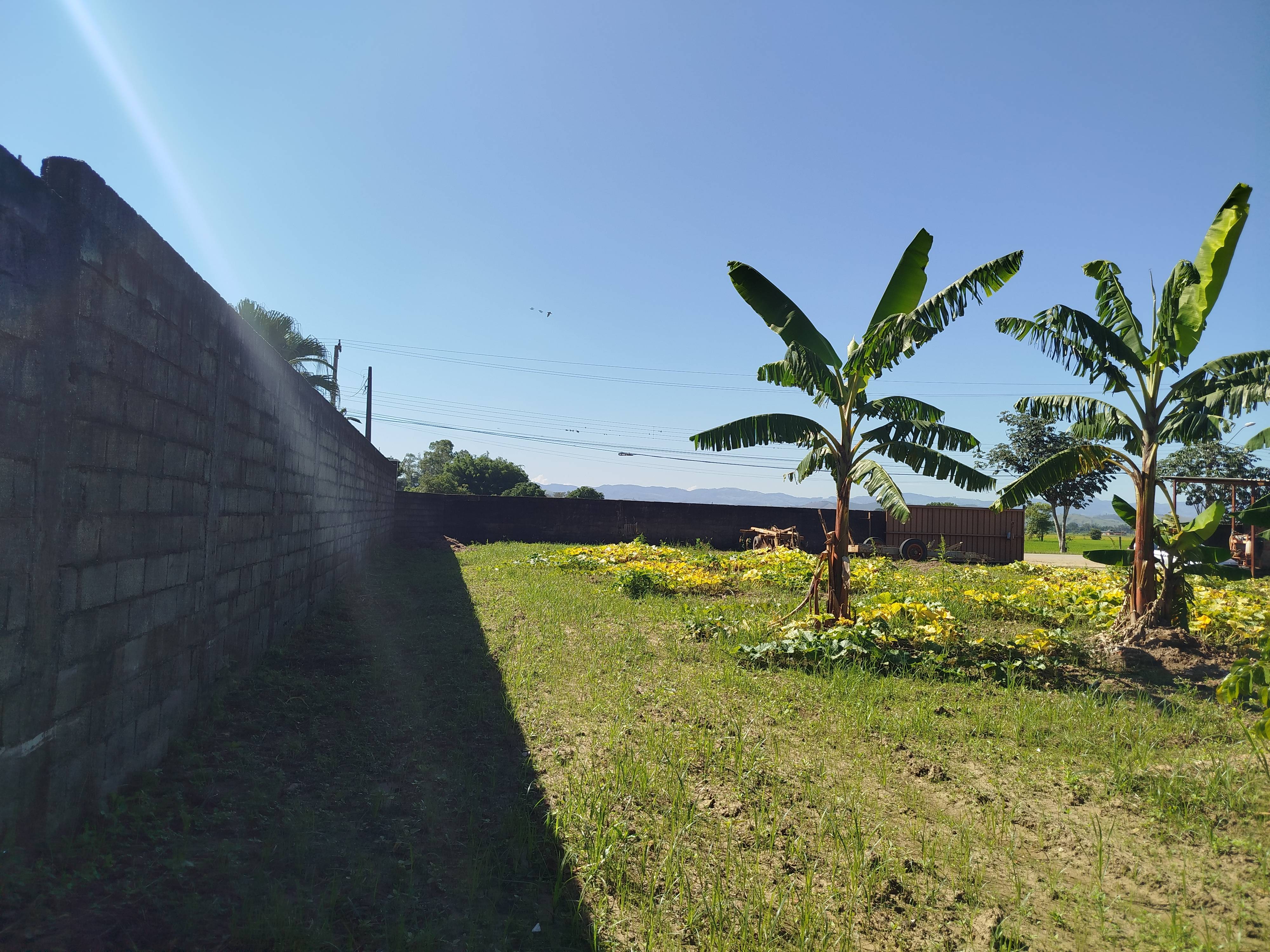 TERRENO - Colonia - Guaratingueta