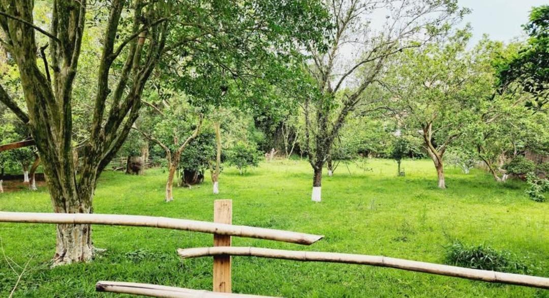 CASA COM ENORME TERRENO 