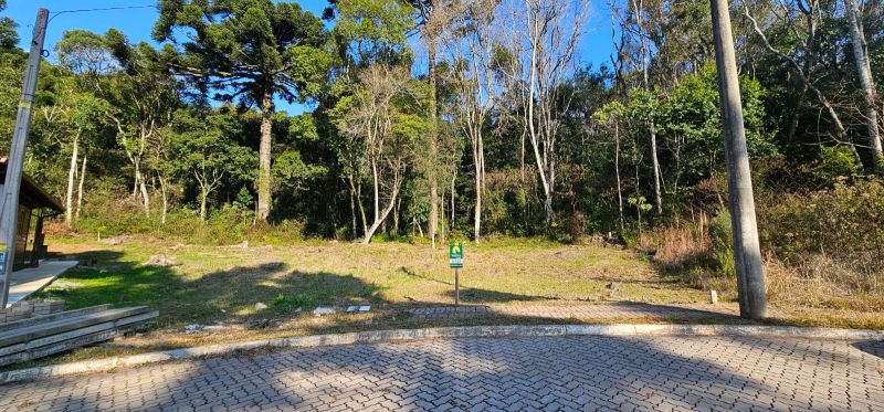 TERRENO NO BOSQUE DAS ARAUCÁRIAS