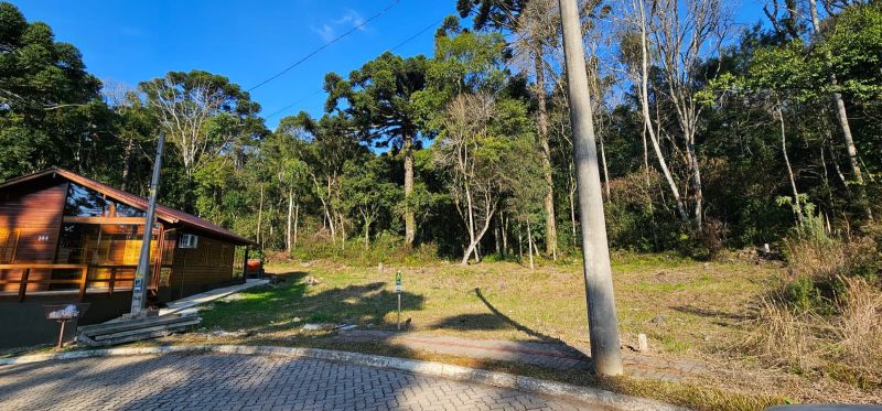 TERRENO NO BOSQUE DAS ARAUCÁRIAS