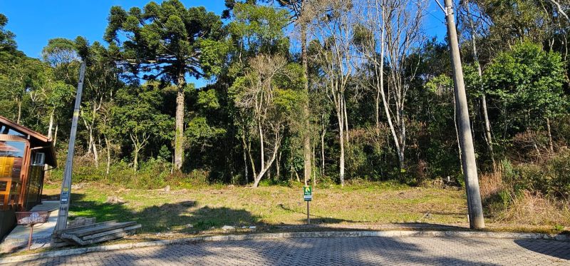 TERRENO NO BOSQUE DAS ARAUCÁRIAS