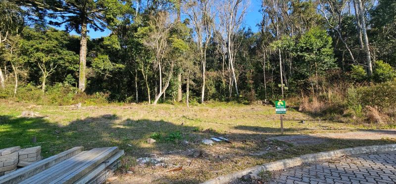 TERRENO NO BOSQUE DAS ARAUCÁRIAS