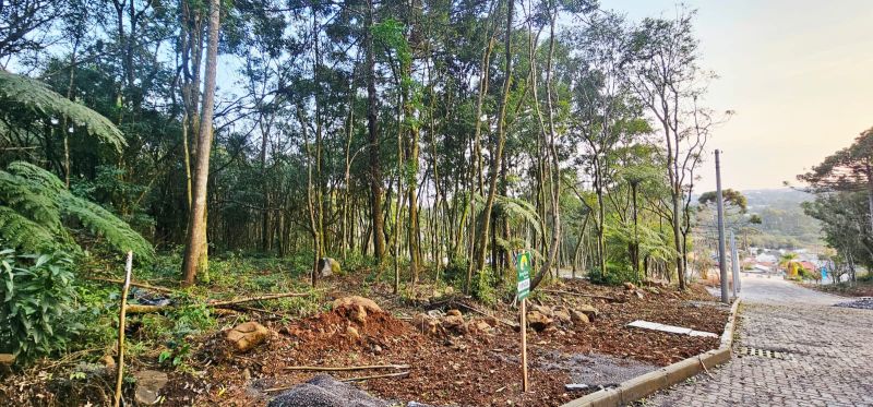 TERRENO - BAIRRO PIÁ