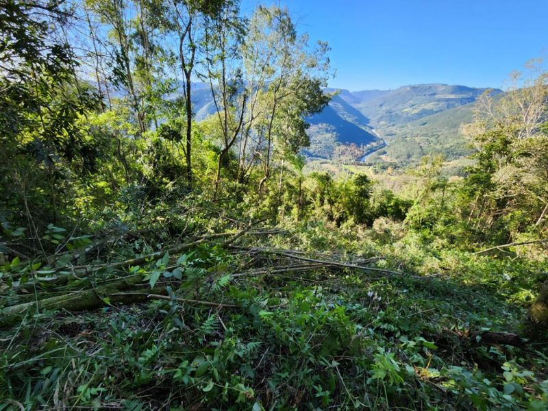 4 HECTARES COM VISTA PARA O MALAKOFF