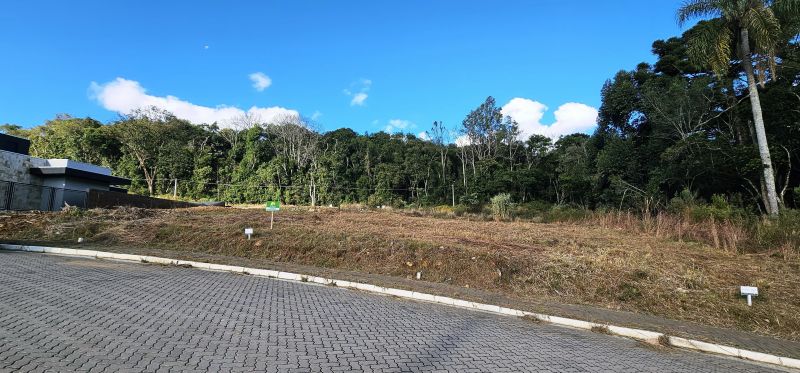 TERRENO NO BOSQUE DA ARAUCÁRIAS