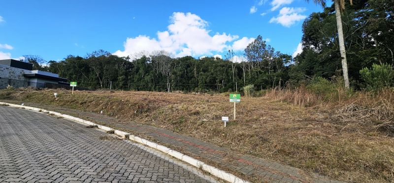 TERRENO NO BOSQUE DA ARAUCÁRIAS - LINHA IMPERIAL