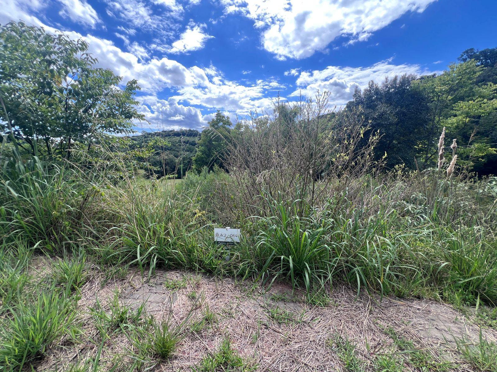 TERRENO- LOTEAMENTO BOSQUE DAS ARAUCÁRIAS 