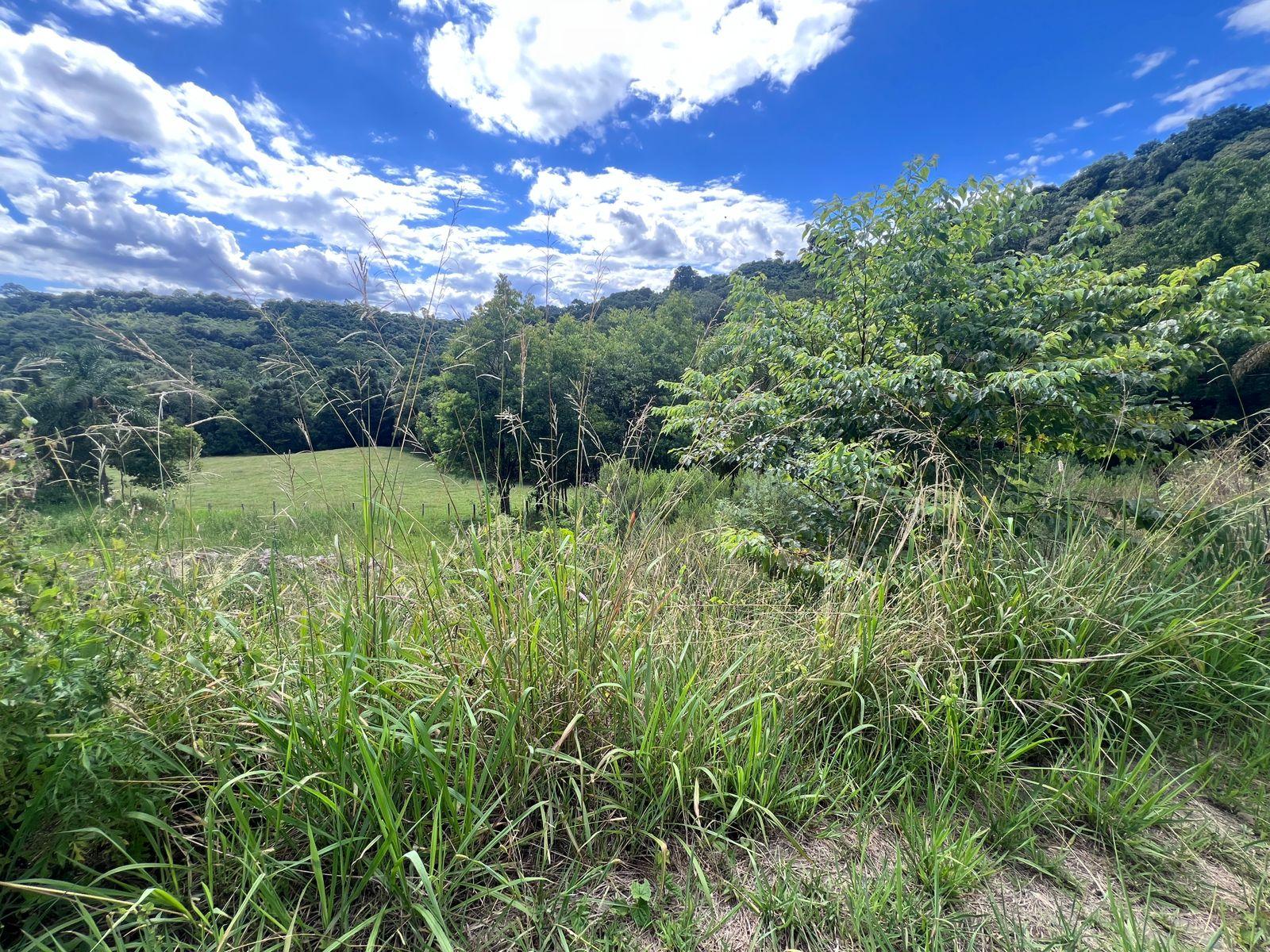 TERRENO- LOTEAMENTO BOSQUE DAS ARAUCÁRIAS 