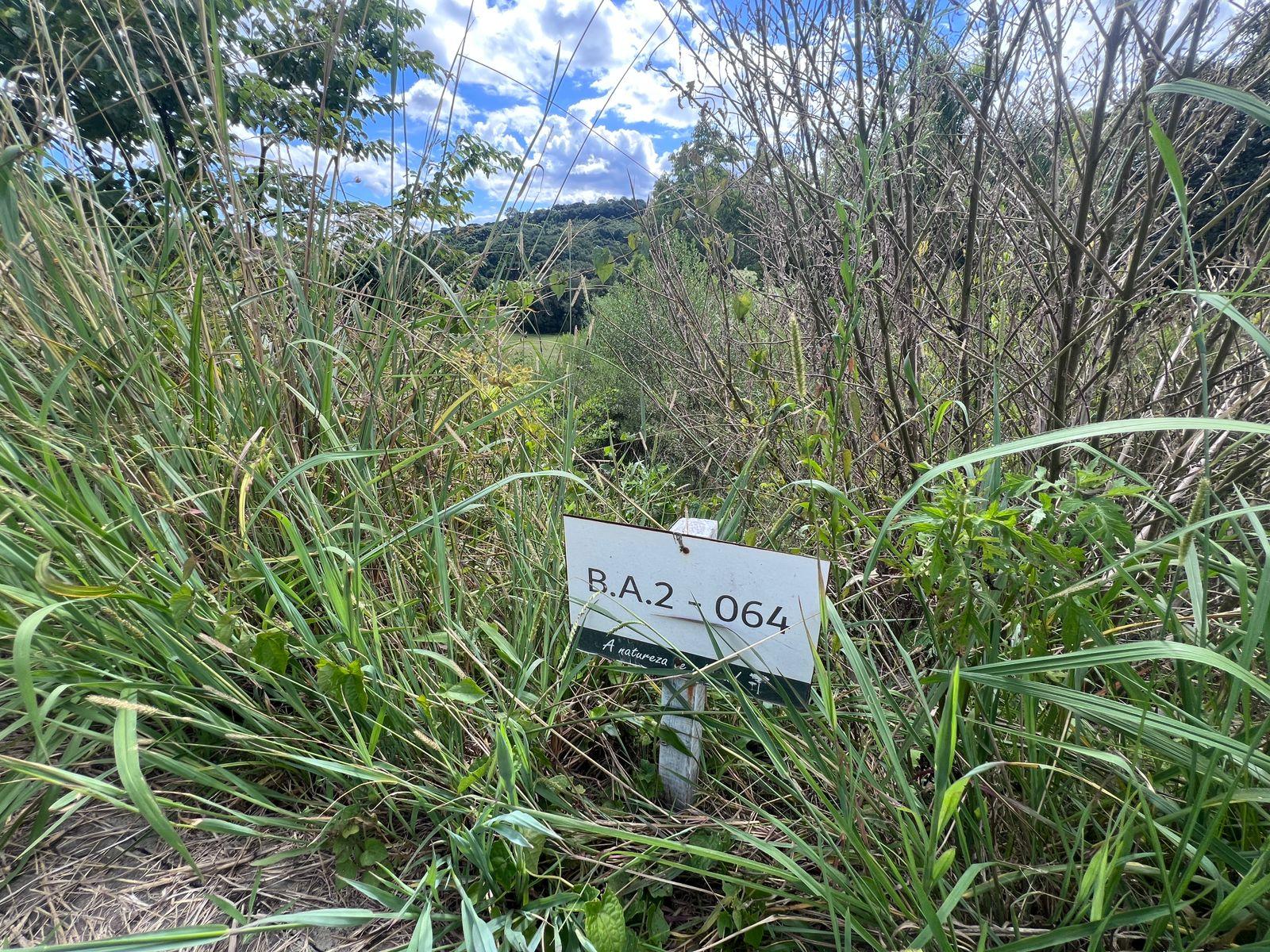 TERRENO- LOTEAMENTO BOSQUE DAS ARAUCÁRIAS 