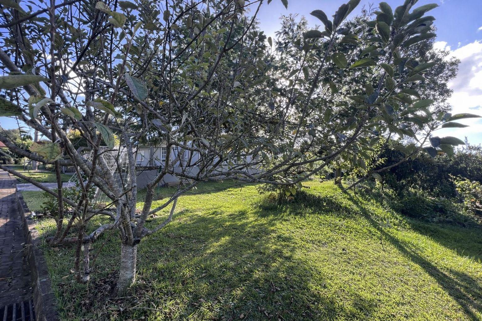 TERRENO- BAIRRO PIÁ