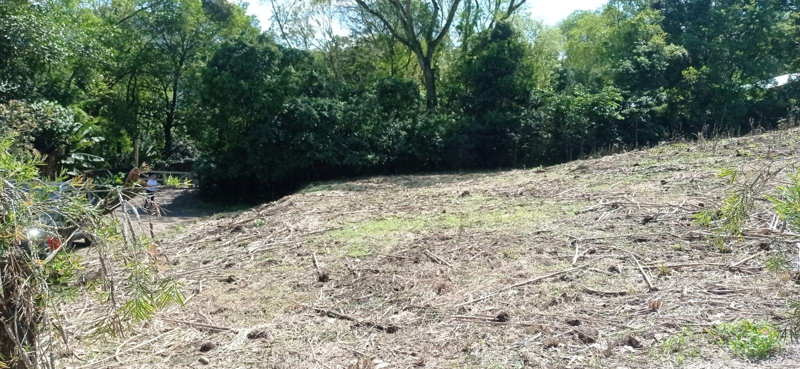 TERRENO DE ESQUINA COM 360 m²- PICADA CAFE