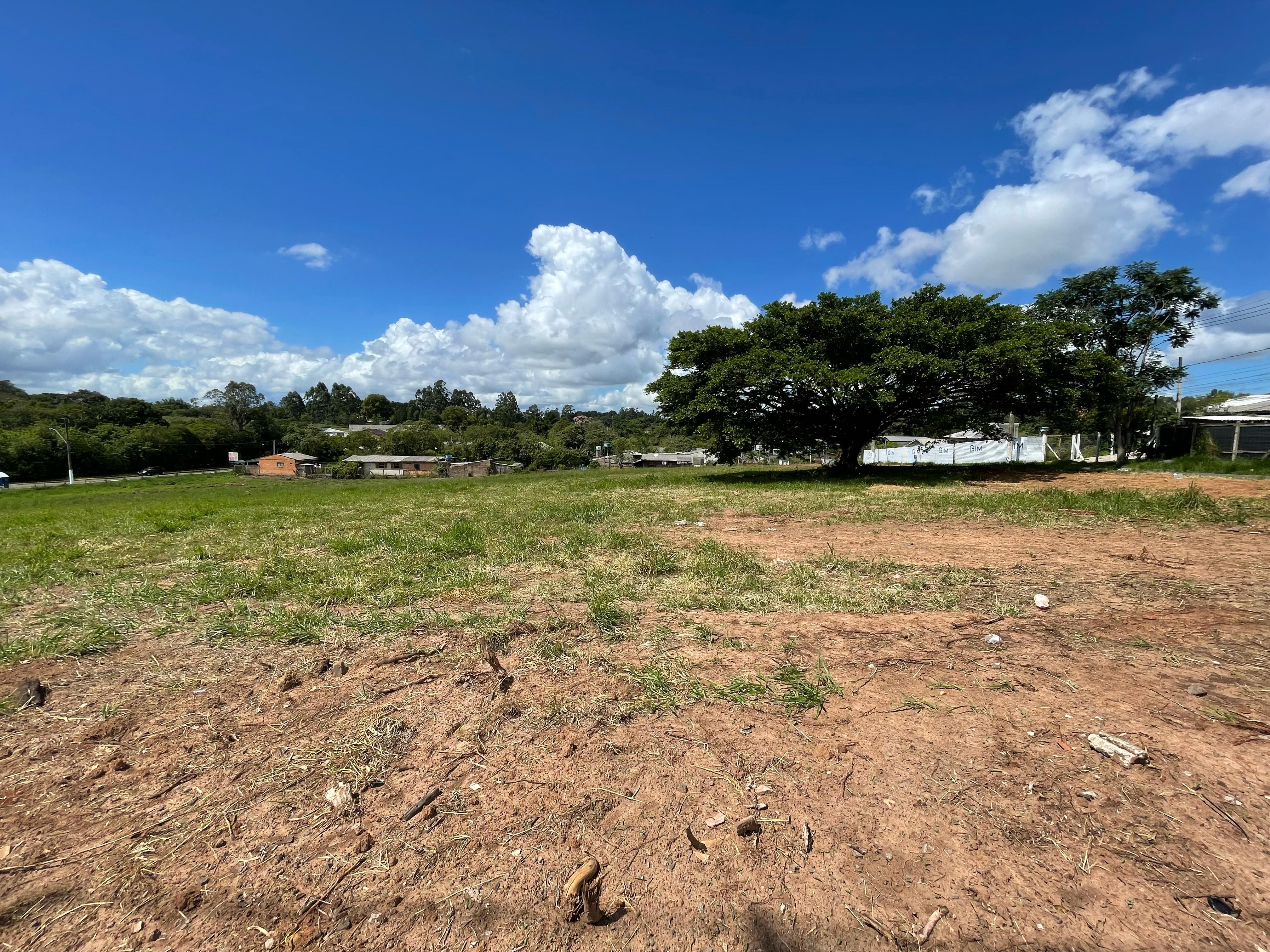 TERRENO no bairro Santo Antônio em Gravatai