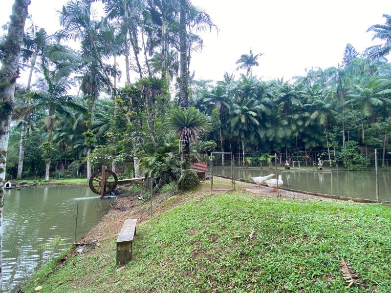 Casa para alugar no bairro BARRA DO RIO MOLHA