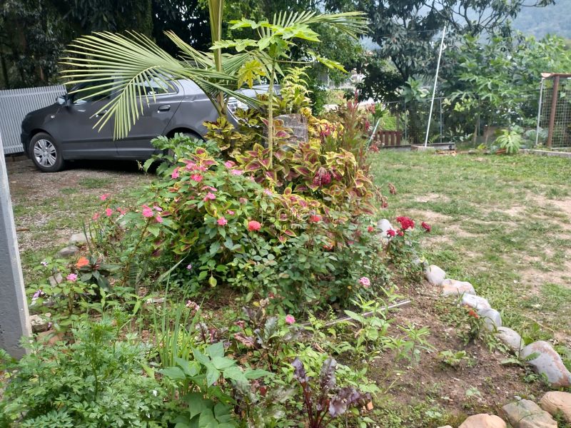 Casa para alugar no bairro JARAGUA ESQUERDO