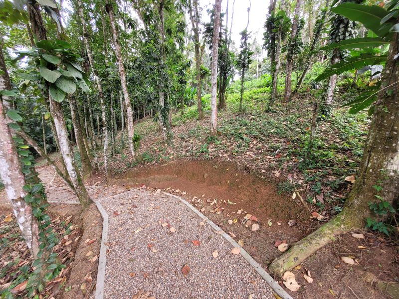 Apto 2 quartos  no bairro Vila Lalau em Jaragua Do Sul