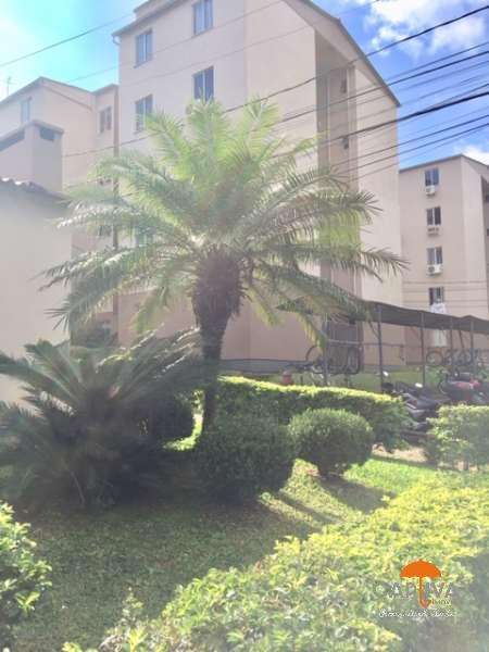 APARTAMENTO - Canudos - Novo Hamburgo