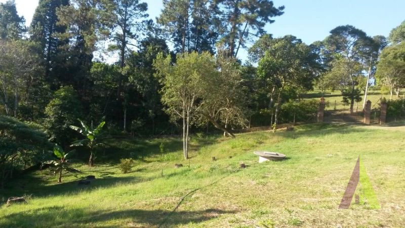 ChÃ¡cara no bairro SEBANDILHA em MAIRINQUE