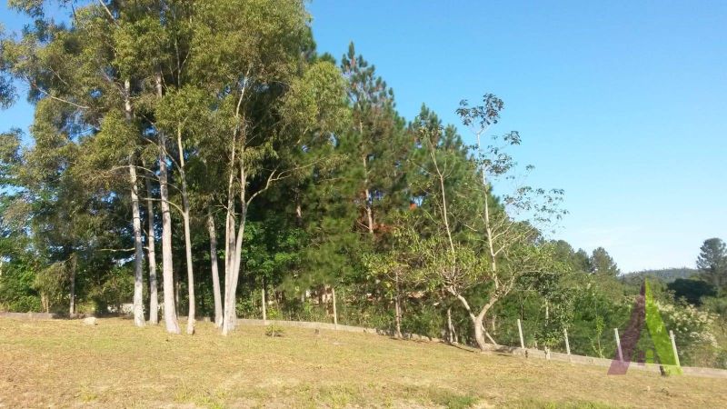 ChÃ¡cara no bairro SEBANDILHA em MAIRINQUE
