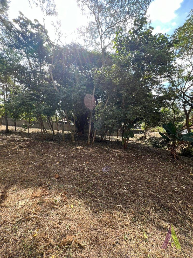 Foto do Imóvel 3