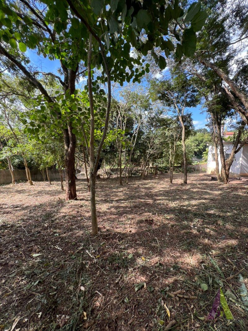 Foto do Imóvel 19