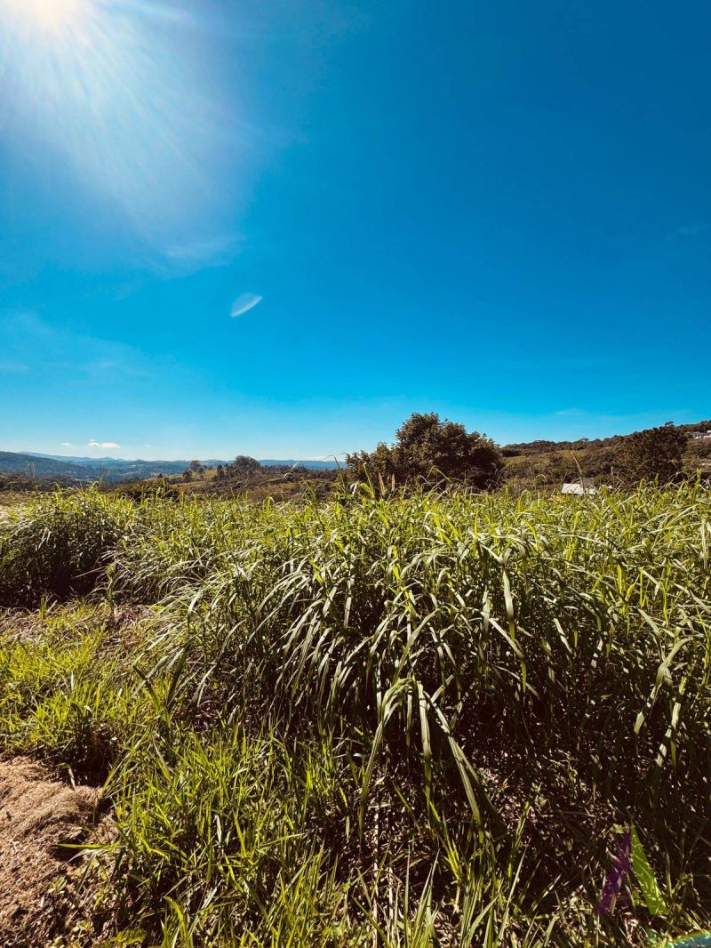 Terreno Plano em Condomínio  Resort de São Roque!
