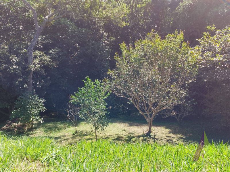 Terreno em Condomínio no bairro Saboó em MAIRINQUE