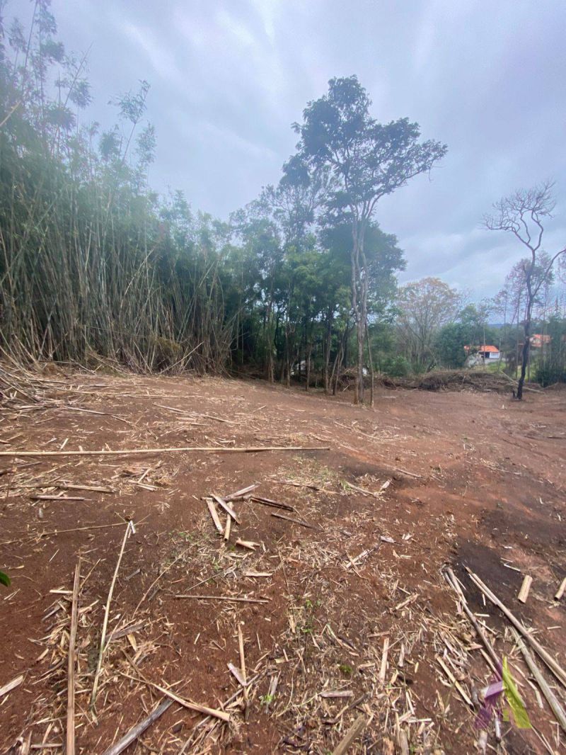 Terreno no bairro Jardim Rene em SÃO ROQUE