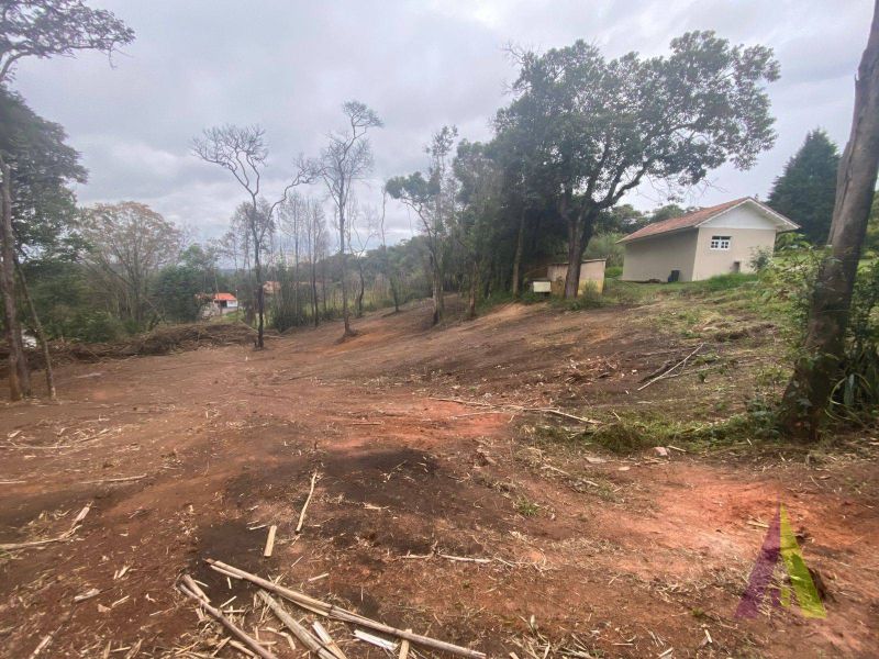 Terreno no bairro Jardim Rene em SÃO ROQUE