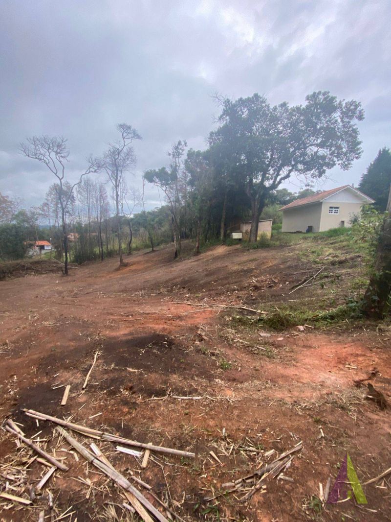 Terreno no bairro Jardim Rene em SÃO ROQUE