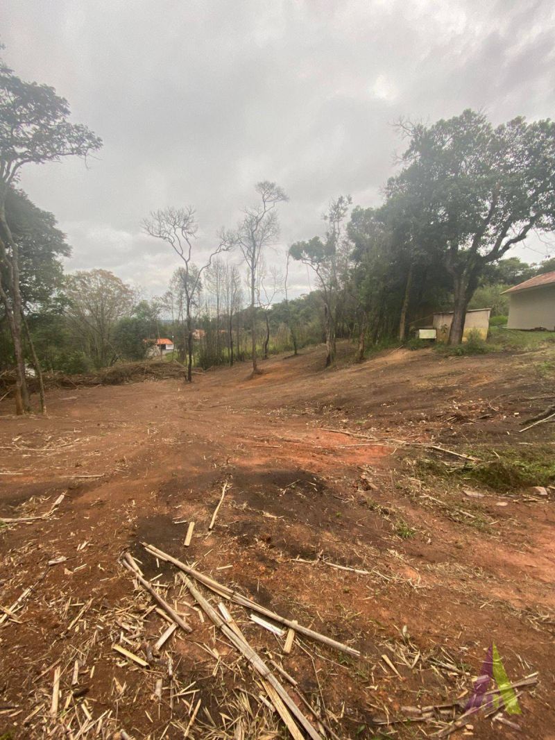 Terreno no bairro Jardim Rene em SÃO ROQUE