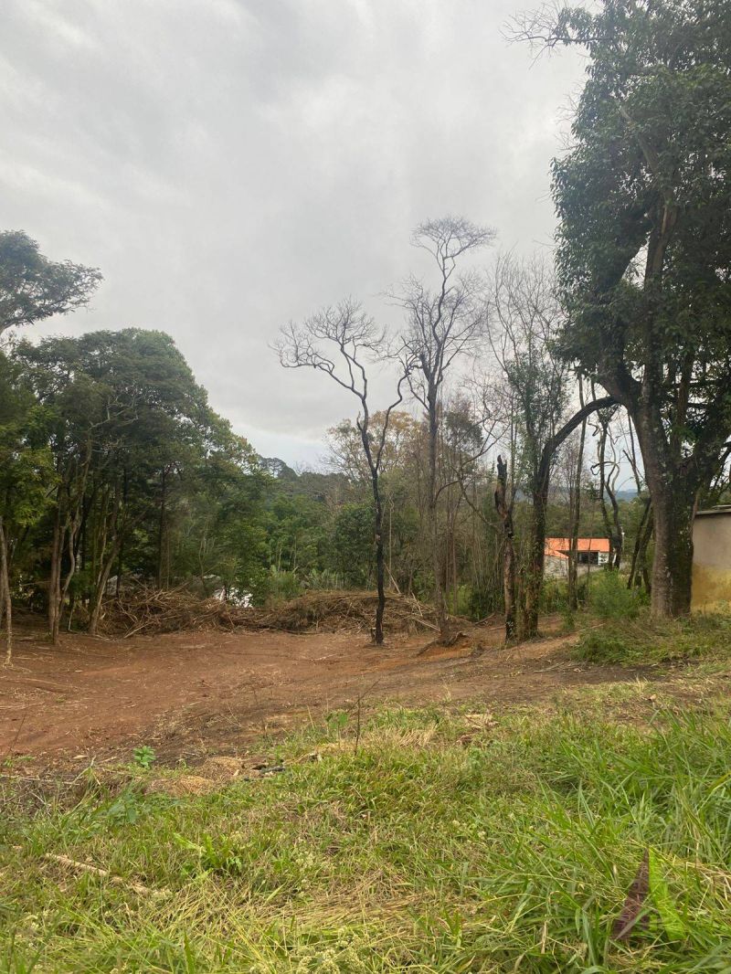 Terreno no bairro Jardim Rene em SÃO ROQUE