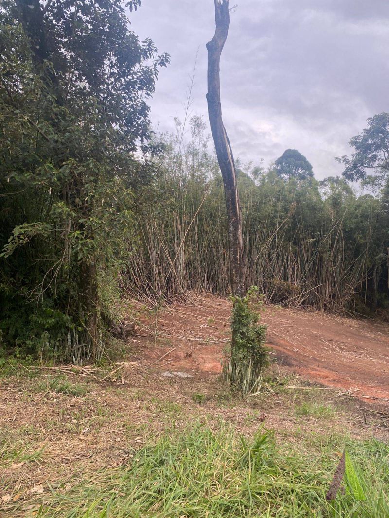 Terreno no bairro Jardim Rene em SÃO ROQUE