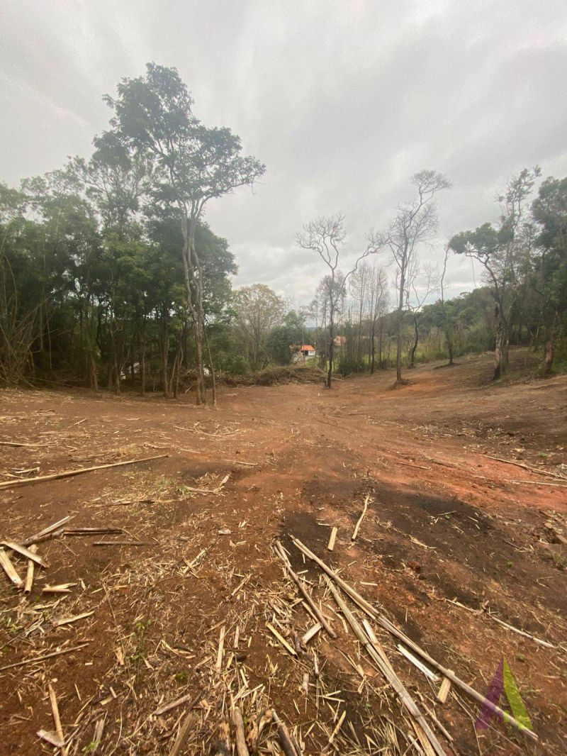 Terreno no bairro Jardim Rene em SÃO ROQUE