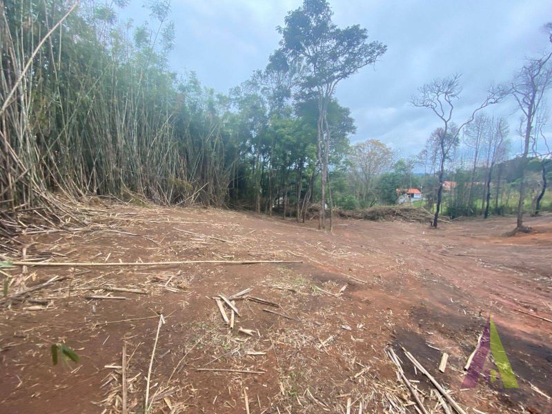 Terreno no bairro Jardim Rene em SÃO ROQUE