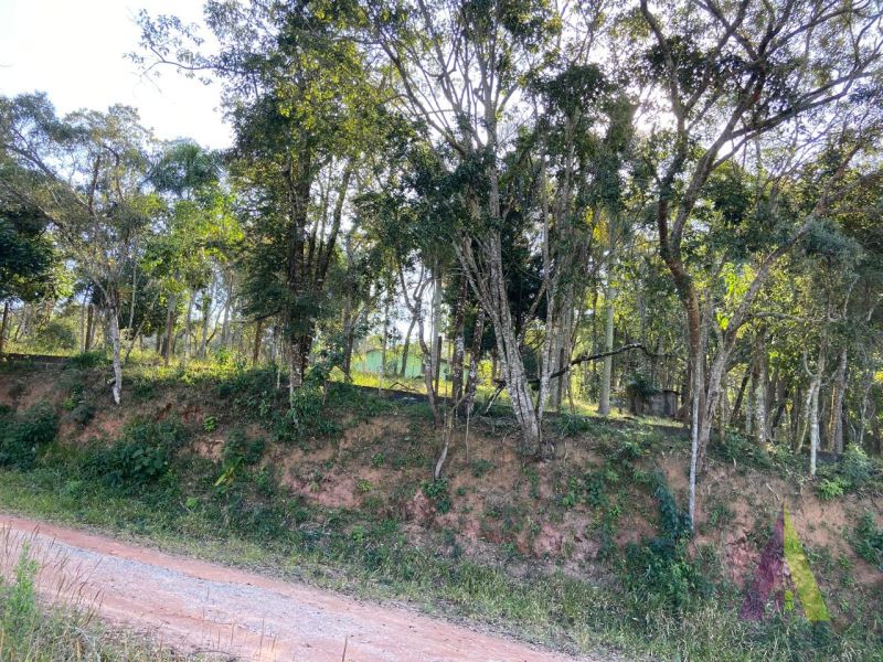 Terreno com Topografia Privilegiada em São Roque!