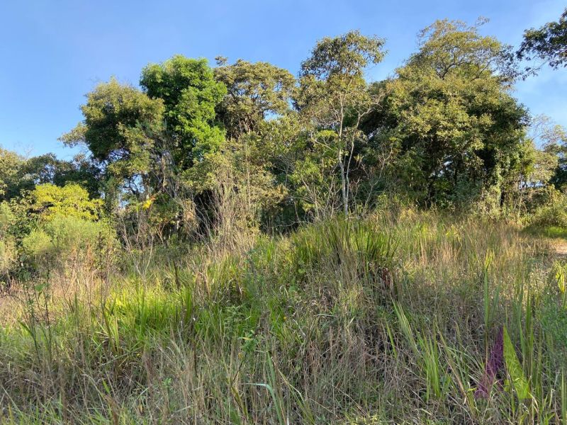Terreno com Topografia Privilegiada em São Roque!