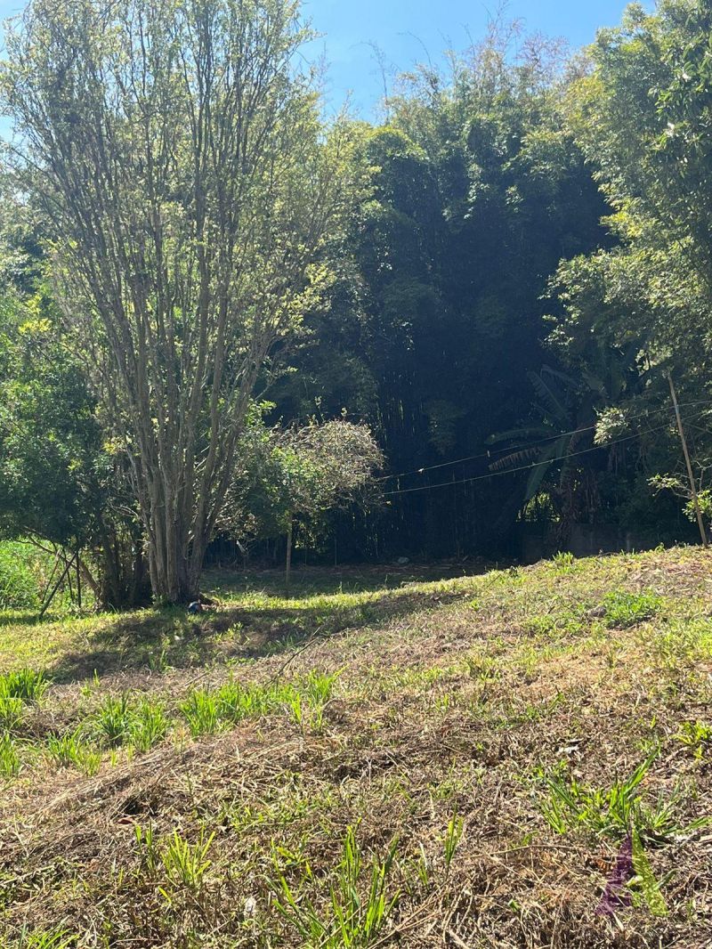 Terreno no bairro Jardim Caparelli (Mailasqui) em SÃO ROQUE