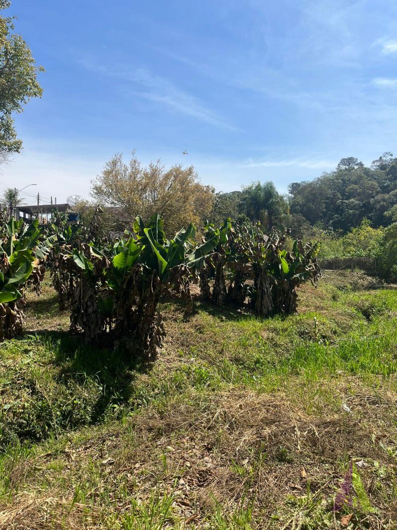Terreno no bairro Jardim Caparelli (Mailasqui) em SÃO ROQUE