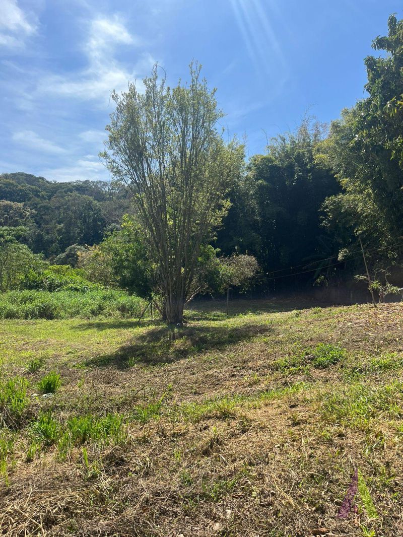 Terreno no bairro Jardim Caparelli (Mailasqui) em SÃO ROQUE