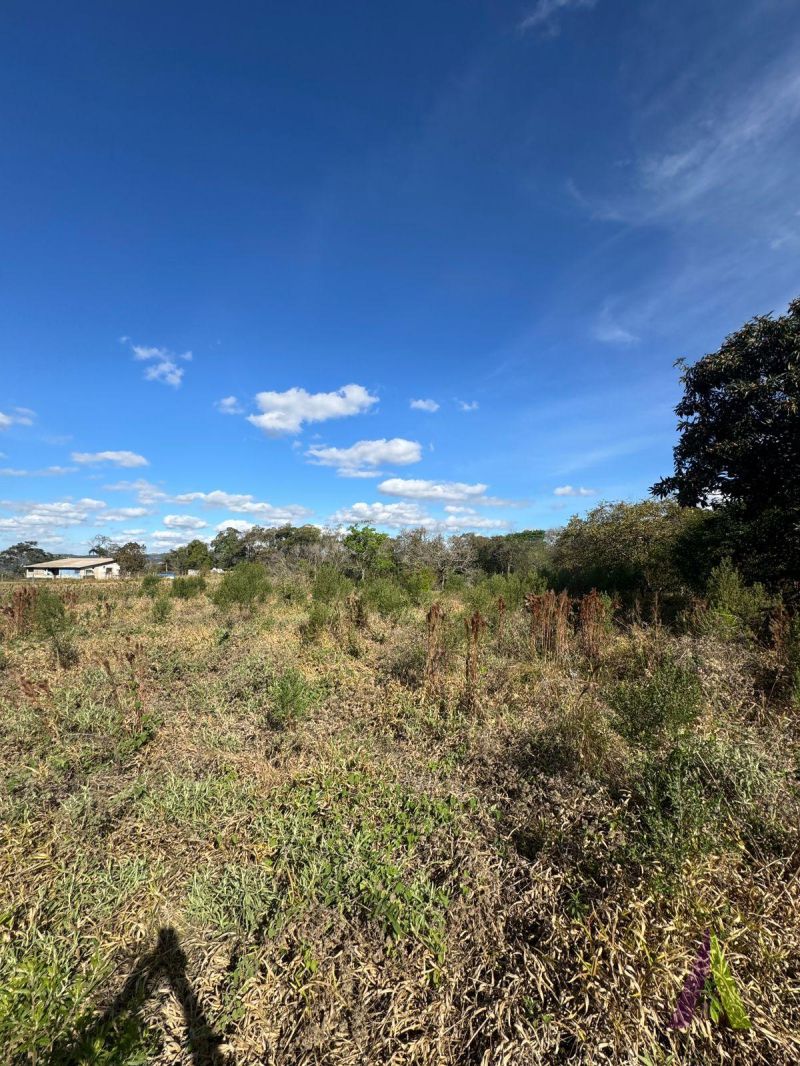 Terreno Plano Pronto para Construir em São Roque!