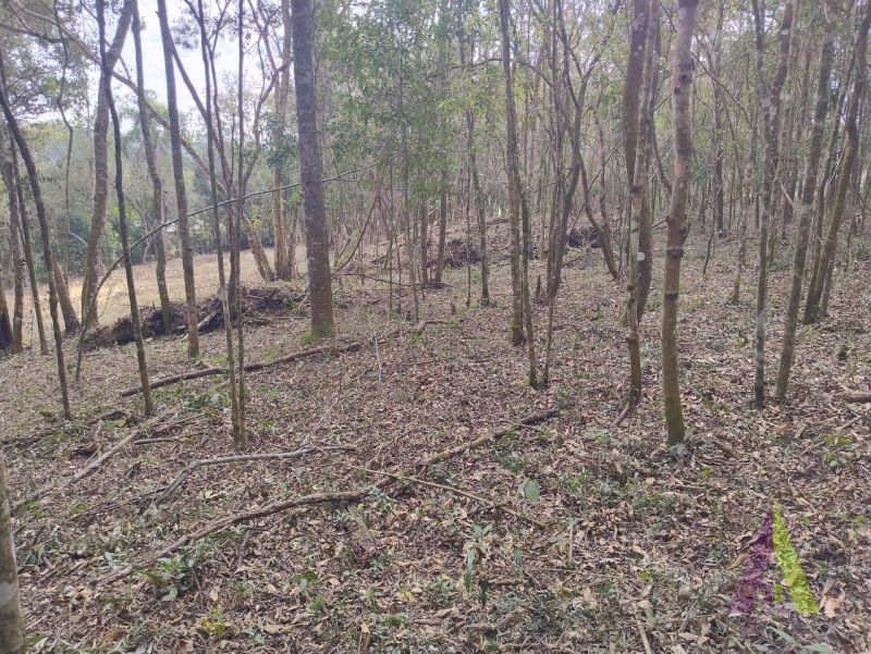 Terreno na Estrada do Vinho! 